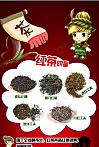 茶博士易拉宝六大茶类红茶茶文